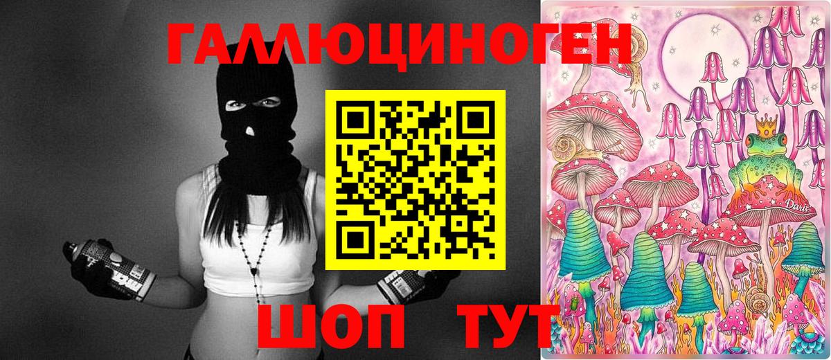 Тулун  Псилоцибиновые грибы Psilocybe  Вход с VPN 
