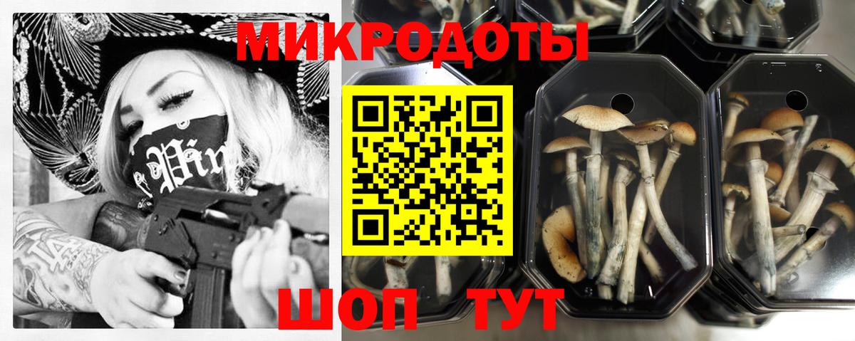 Псилоцибиновые грибы мухоморы Тулун